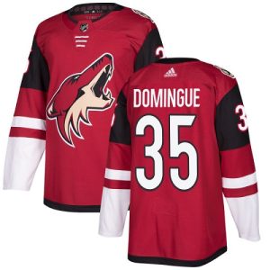 Magnificent Adidas Coyotes #35 Louis Domingue Maroon Home Authentic Stitched Youth NHL Jersey