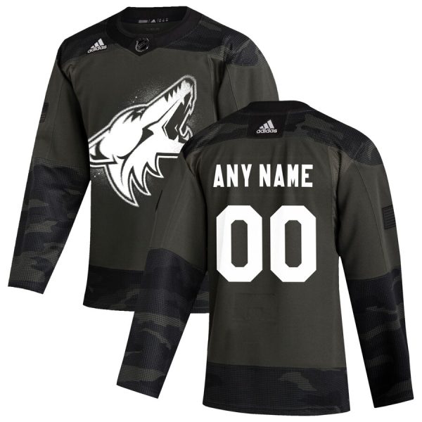 Outstanding Arizona Coyotes Adidas 2019 Veterans Day Authentic Custom Practice NHL Jersey Camo