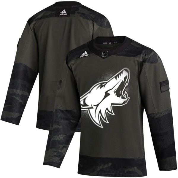 First - rate Arizona Coyotes Adidas 2019 Veterans Day Authentic Practice NHL Jersey Camo